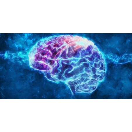 Nootropics | Nootropic to improve mental function